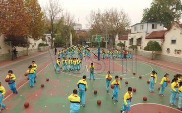 中学生实践活动心得体会6篇