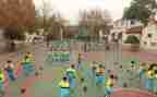 中学生实践活动心得体会6篇