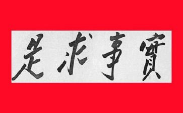 办实事的心得体会6篇