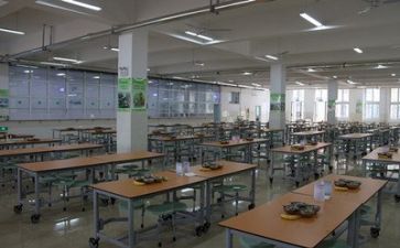 2024食堂年终总结推荐8篇