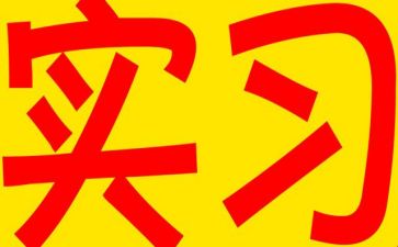 实习后个人总结通用6篇
