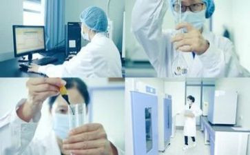 数学实验工作计划6篇