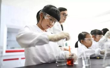做实验的个人总结8篇