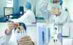 数学实验工作计划6篇