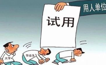 员工试用期个人总结简短6篇