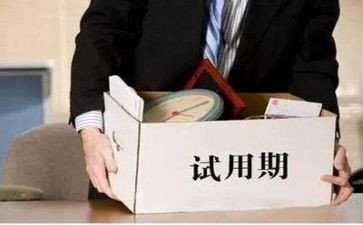 护士试用期个人总结8篇