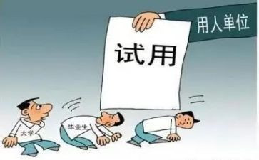 试用期工作报告6篇