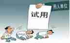 试用期工作报告6篇