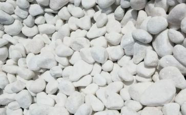 我是石子作文8篇