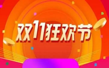 双11活动个人总结模板5篇