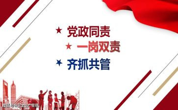 一岗双责的工作总结6篇