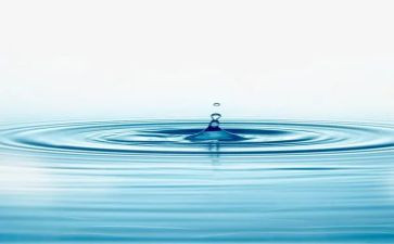 语言《水》教案精选8篇
