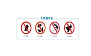 市除四害工作总结最新5篇