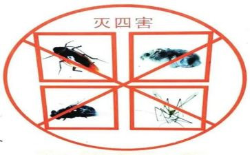 防四害工作总结5篇
