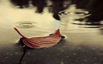 思念的作文600字通用7篇