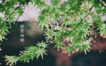 幼儿园大班2024四月工作计划参考7篇