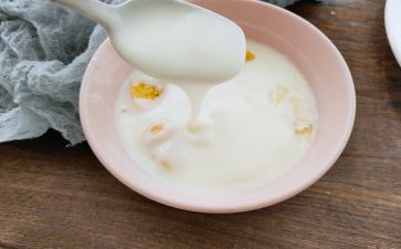 做酸奶的心得体会5篇