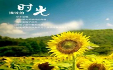 青春的岁月作文8篇