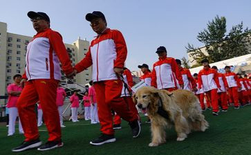 2024特教老师工作总结6篇
