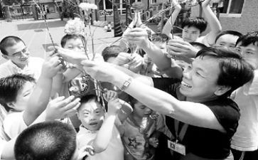 2024年特教教师年度总结8篇