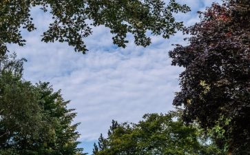 天空之城电影的观后感6篇