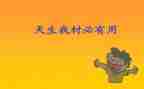 天生我材必有用作文5篇