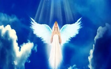 作文《天使》600字参考8篇