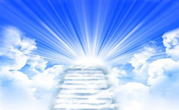 鸟的天堂作文6篇