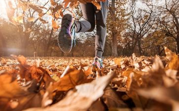 放慢脚步作文800字8篇