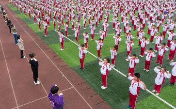 2024年体育活动方案优秀5篇