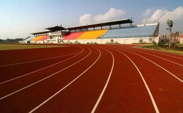 2024年体育活动策划通用7篇