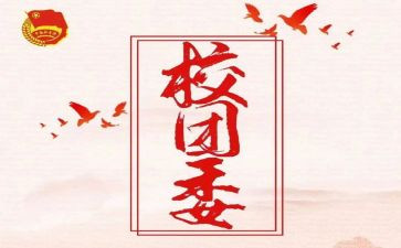学生团委工作总结7篇