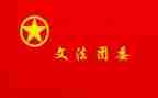 镇团委工作述职报告7篇