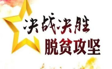 个人脱贫攻坚工作总结5篇