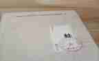 蛙心得体会1000字推荐7篇