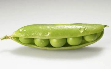 剥豌豆教案6篇