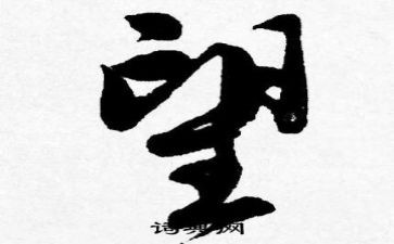 我的新年愿望作文优质8篇