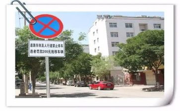 中小学教师违反职业处理办法心得体会8篇