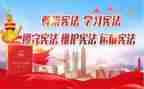 学宪法争做小卫士心得体会5篇