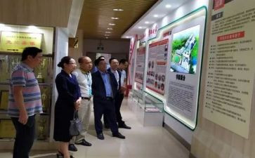 国培小学语文培训心得8篇