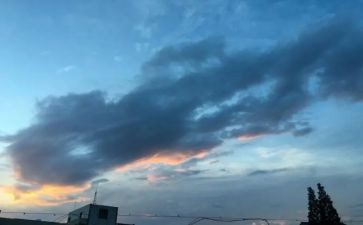 我的一天作文初一600字精选6篇