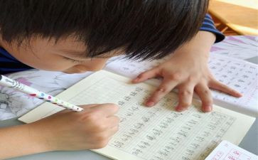 我想变成猫作文300字作文7篇