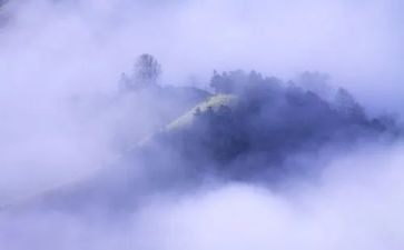 有关雾的作文800字8篇