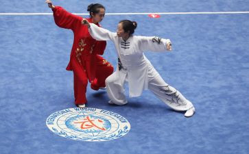 武术操的教案5篇