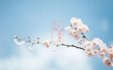 教师五月份工作计划6篇