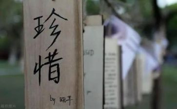 珍惜资源的演讲稿7篇