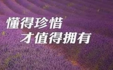 惜别的作文优秀6篇