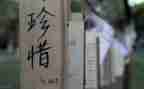 珍惜资源的演讲稿7篇