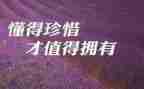 惜别的作文优秀6篇