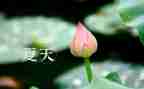 关于夏天树的作文最新6篇